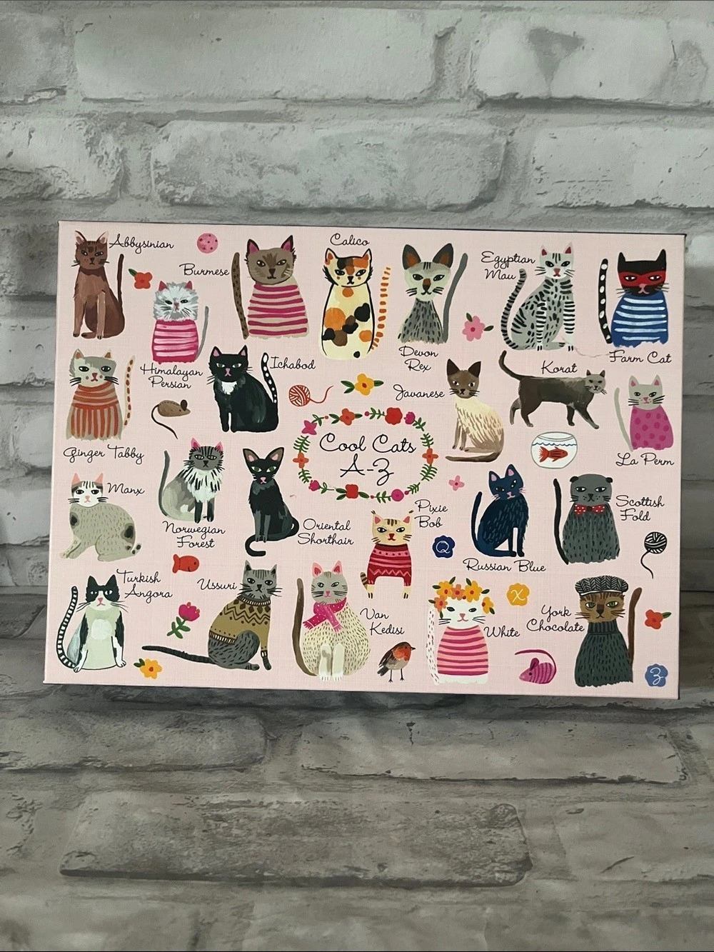 mudpuppy Cool Cats A-Z 1000-Piece Puzzle Pink & Blue Like Ne